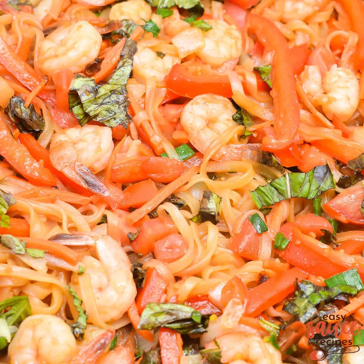 a closeup of drunken noodles with fresh vegetables, basil and shrimp
