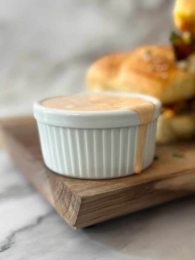 close up of burger sauce in a white dish